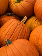 Pumpkins