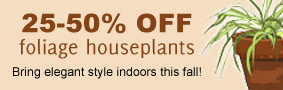 25-50% OFF foliage houseplants