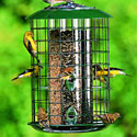 Duncraft Feeder