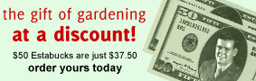 Order your Estabucks today!