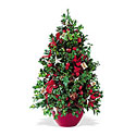 Boxwood Tree