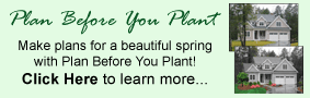 Plan Before You Plant