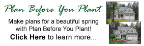 Plan Before You Plant