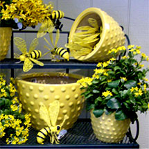 Spring Pottery