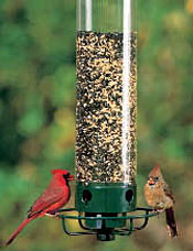 Droll Yankees Feeder