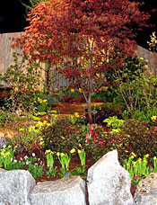 Flower Show Garden
