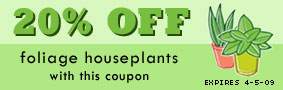 20% OFF Foliage Houseplants