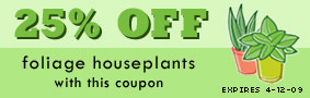 25% OFF Foliage Houseplants