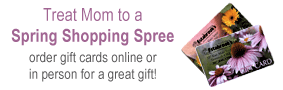 Gift Cards for Mother's Day