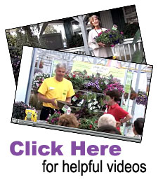 Click Here for Pop, Drop & Grow Videos