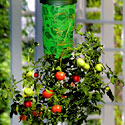 Topsy Turvy