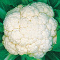 Cauliflower