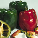 Pepper