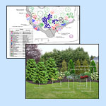 Plant Before You Plant Diagrams
