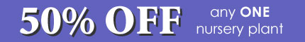 50% OFF any ONE nursery plant
