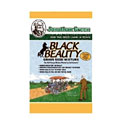 Black Beauty Grass Seed