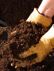 Compost