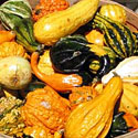 Gourds