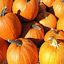 Pumpkins