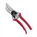 Felco pruner