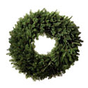 Balsam Wreath