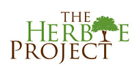 The Herbie Project