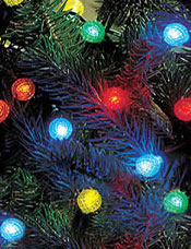 LED Christmas Lights