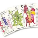 Botanical Interests Seeds