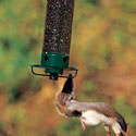 Yankee Flipper bird feeder