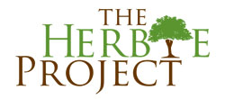 The Herbie Project