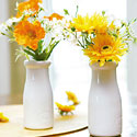Silk Flowers