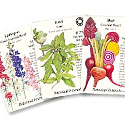 Botanical Interest Seeds