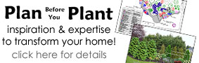 Plan Before You Plant