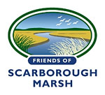 Friends of Scarborough Marsh