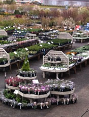 Nursery Yard