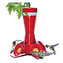 Hummingbird Feeder