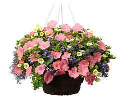 Mystery Bouquet 2