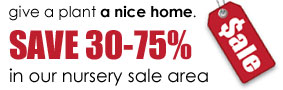 Save 30-75% in our nursery sale area
