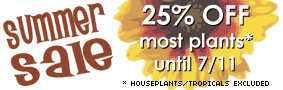 Summer Sale 25% OFF Most Plants Until 7/11