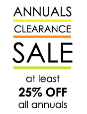 Annuals Clearance Sale