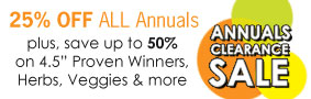 Annuals Clearance Sale