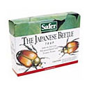 Japanese Beetle Traps