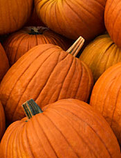 Pumpkins