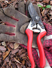 Pruners