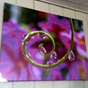 Outdoor Canvas Art