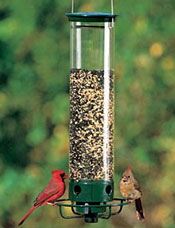 Bird feeder