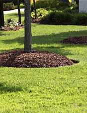 Nutri-Mulch