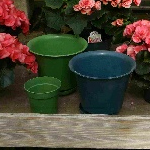 Eco Pots