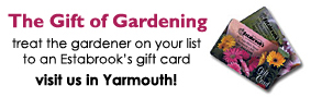 Estabrook's Gift Cards