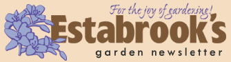 Estabrook's Newsletter